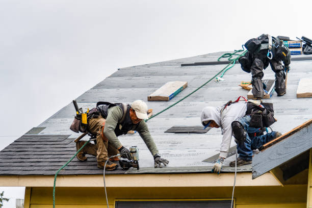 Professional Gutter Installation technician working in Jasper, MN